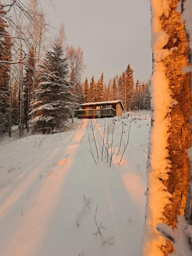 Northwoods Cottage Bed And Breakfast Fairbanks Exterior foto