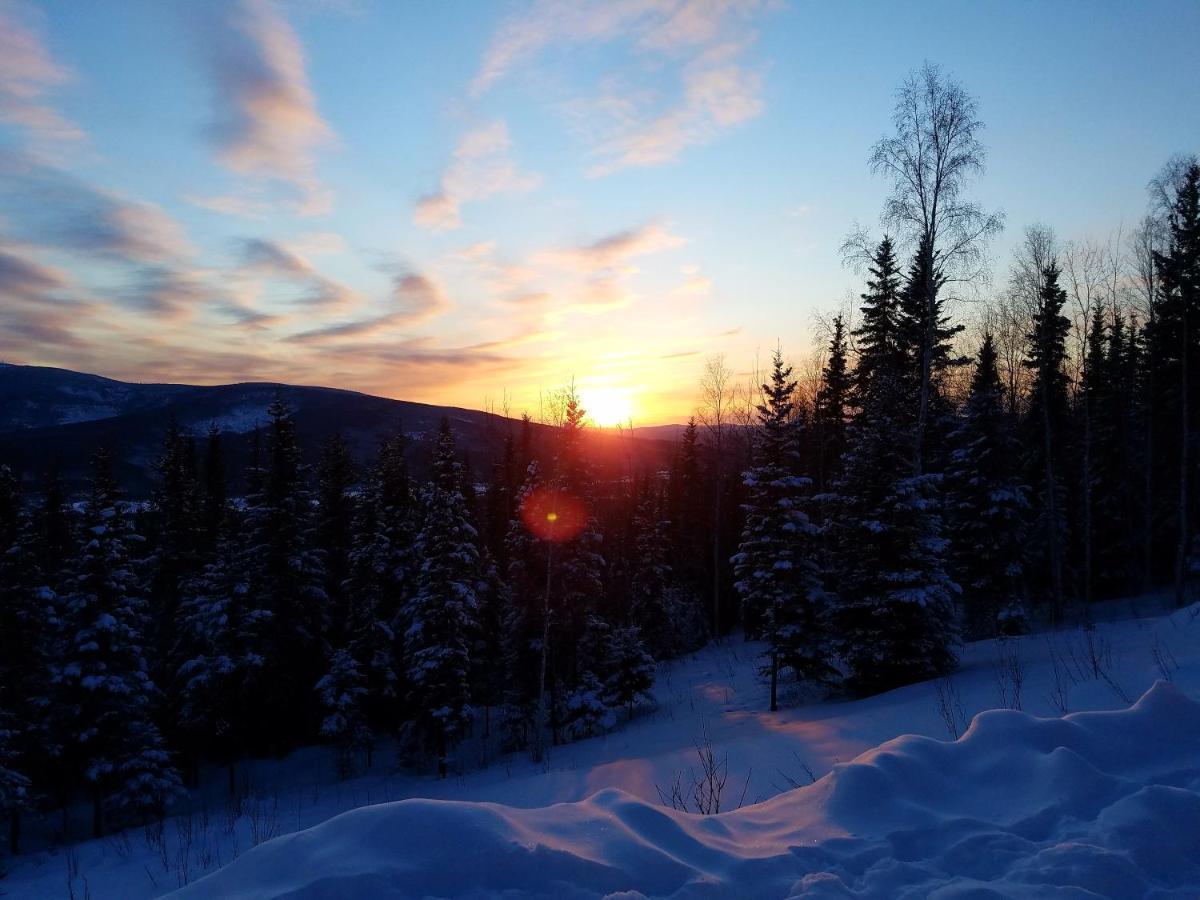Northwoods Cottage Bed And Breakfast Fairbanks Exterior foto