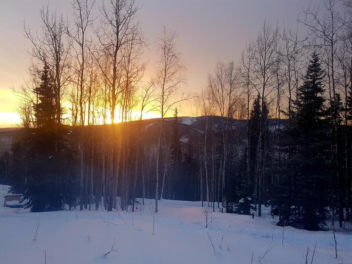 Northwoods Cottage Bed And Breakfast Fairbanks Exterior foto