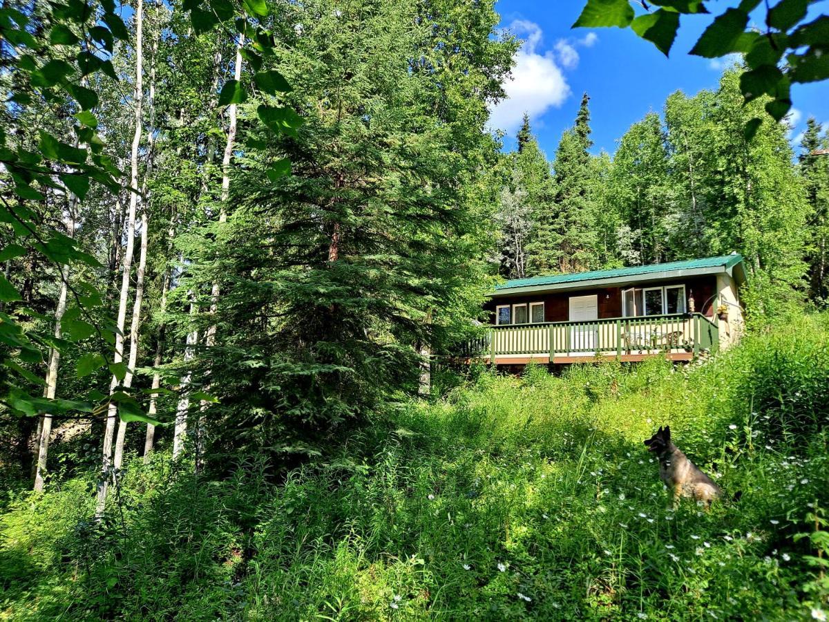 Northwoods Cottage Bed And Breakfast Fairbanks Exterior foto