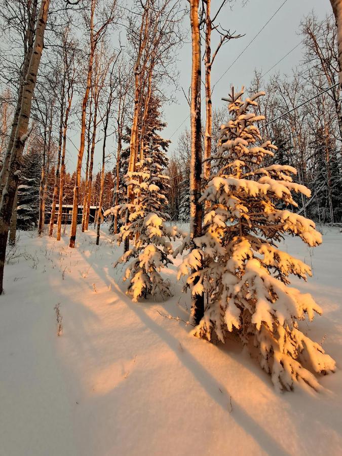 Northwoods Cottage Bed And Breakfast Fairbanks Exterior foto